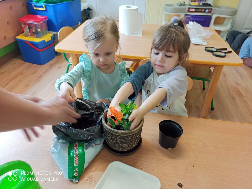 Zielony kącik w grupie I "Krasnoludki" itm1#711