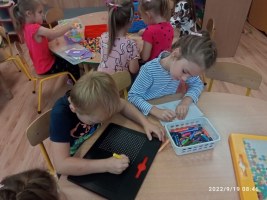Pierwsze koty za płoty
