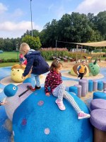Pierwsze koty za płoty