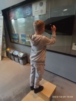 Wycieczka do Zoom Natury w Janowie Lubelskim
