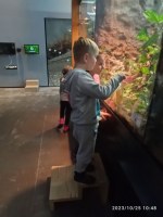 Wycieczka do Zoom Natury w Janowie Lubelskim