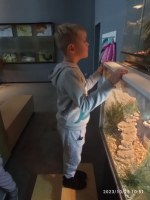 Wycieczka do Zoom Natury w Janowie Lubelskim